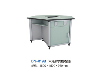 DN-019B六角形学生实验台